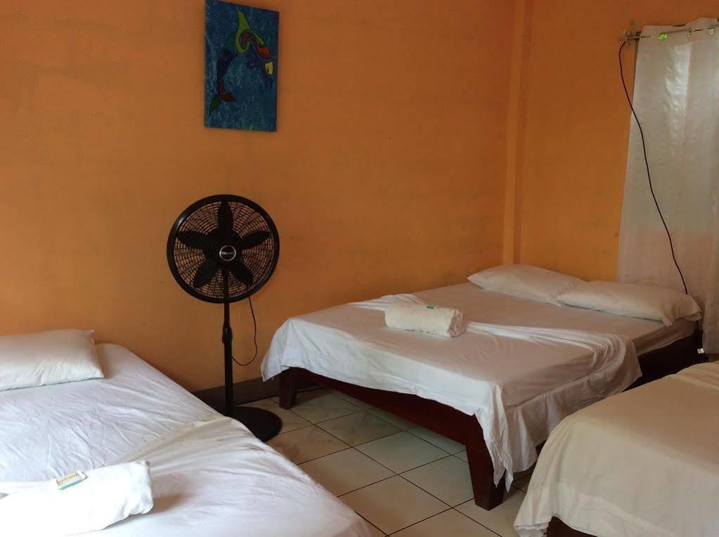 Cabinas El Muellecito Tortuguero Exteriér fotografie