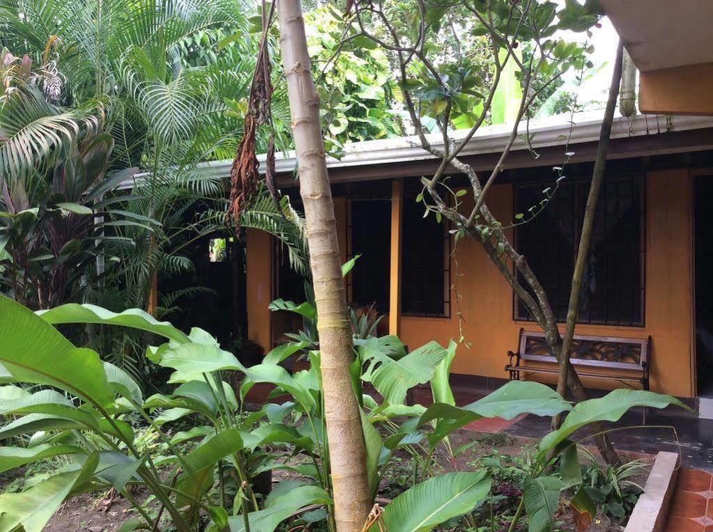 Cabinas El Muellecito Tortuguero Exteriér fotografie